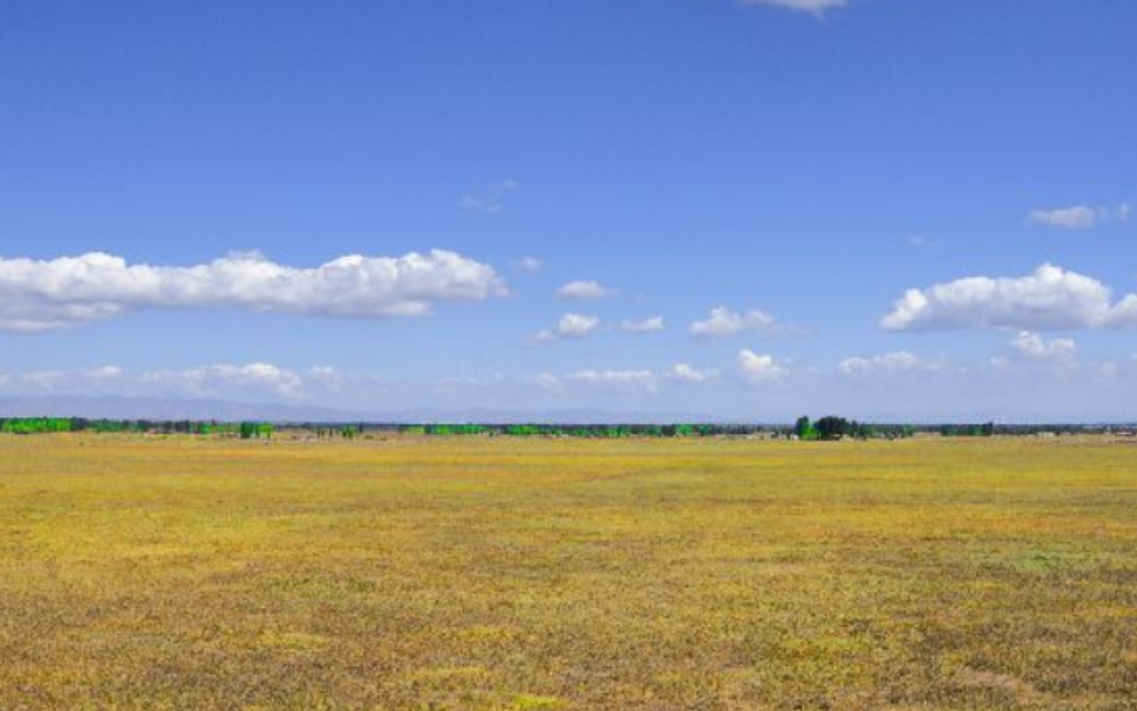 板兰格草场