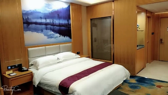 乌鲁木齐中朗天润酒店标准大床房